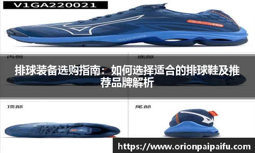 排球装备选购指南：如何选择适合的排球鞋及推荐品牌解析