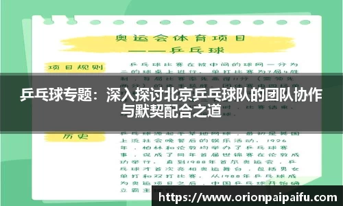 乒乓球专题：深入探讨北京乒乓球队的团队协作与默契配合之道